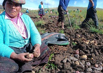 Implementación de microproyecto